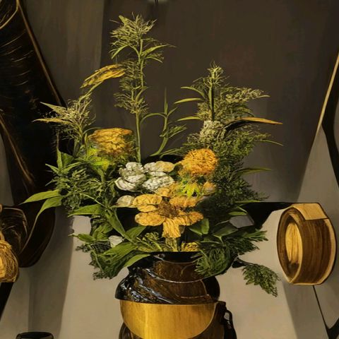 Amnesia Lemon 🫒🍋Auto Yareli growlog timeline photo