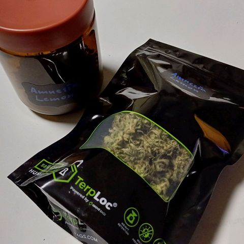 Amnesia Lemon 🫒🍋Auto Yareli growlog timeline photo