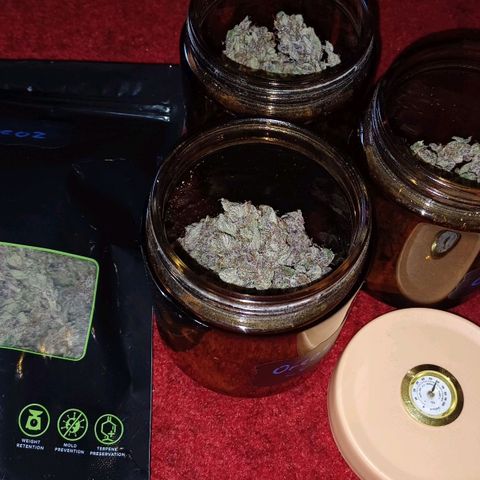 Oreoz🍪Auto Ellie growlog timeline photo