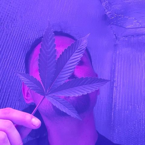 Hermosa  #1 growlog timeline photo