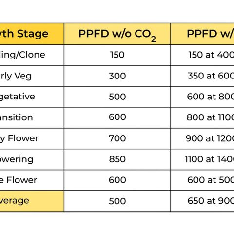 Heisenberg growlog timeline photo