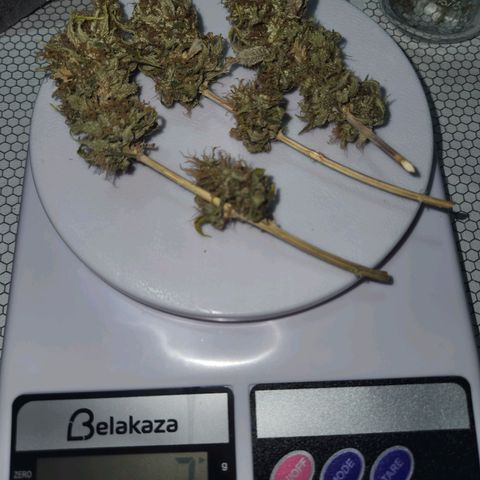Heisenberg growlog timeline photo