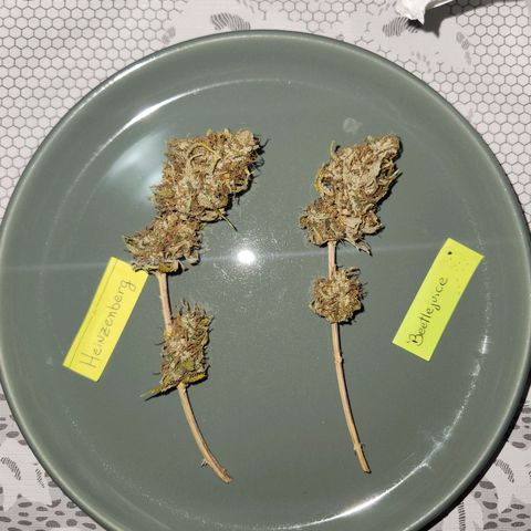 Heisenberg growlog timeline photo