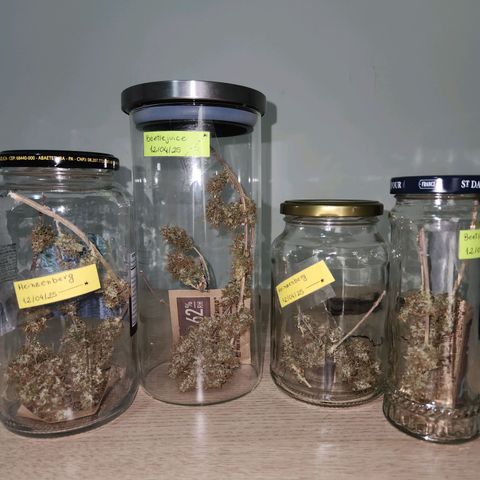 Heisenberg growlog timeline photo