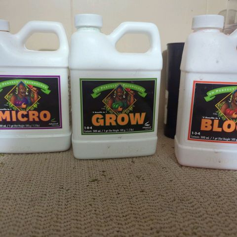 Royal Runtz #1 growlog photo: It's drinking 5gals in 5 days so we're up to a gallon of water a day. Did a water fill today, going to do some pruning tomorrow 