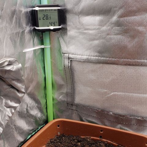 Princesa Hanira  growlog timeline photo