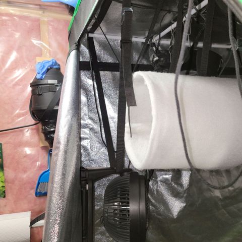 White Crystal Meth Auto #3 growlog timeline photo