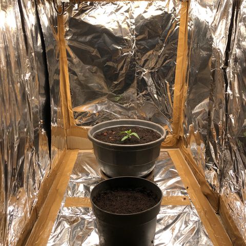 Génétique inconnue growlog timeline photo