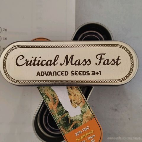 Critical mass fast growlog timeline photo