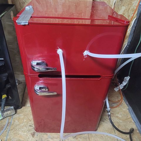 Durban Poison growlog photo: Intake and outake lines into the freezer