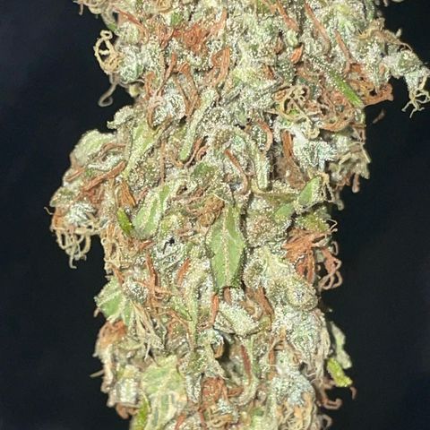 Sour jealousy growlog timeline photo