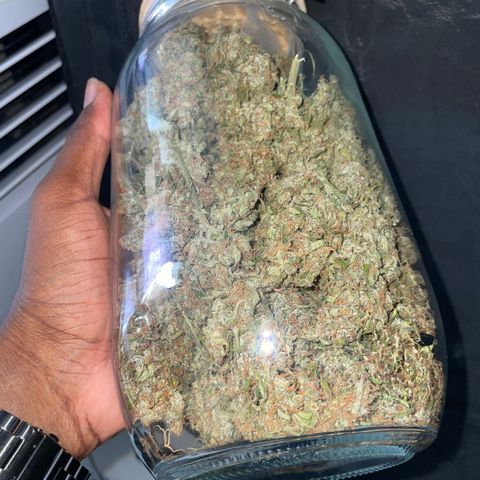 Sour jealousy growlog photo: 107g sec