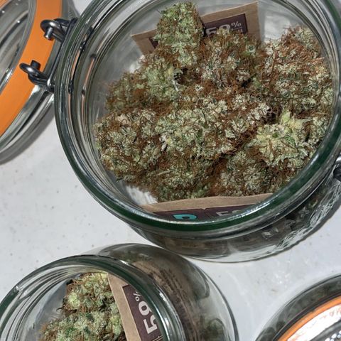 Critical growlog timeline photo