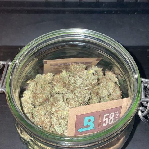 Critical growlog timeline photo