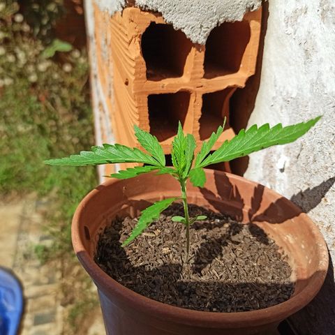 The Safe growlog photo: 15 dias muito bem vividos aqui na Terra, mesmo lidando com várias adversidades.
Meus Parabéns!!! Quanta saúde