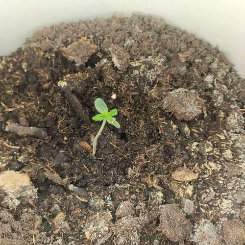 w_mb 2-5 growlog photo: mb_3
