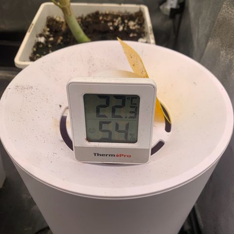 Double Cookies  growlog timeline photo