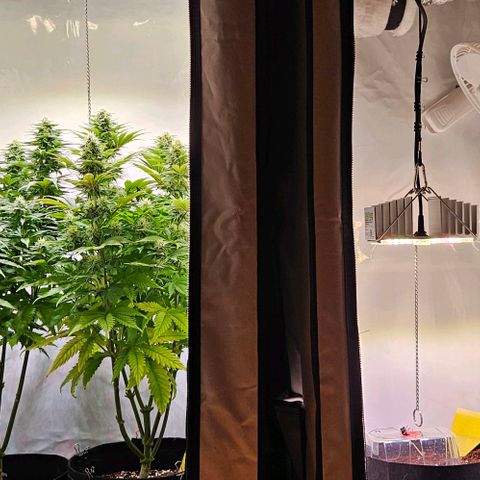 #6 growlog timeline photo