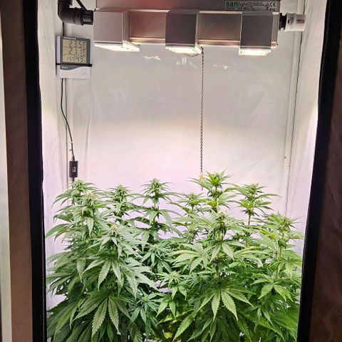 #7 growlog timeline photo