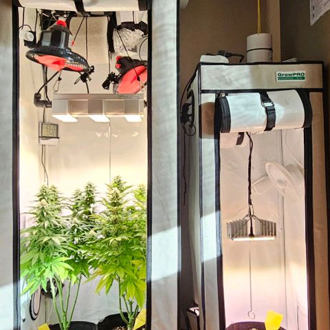#6 growlog timeline photo