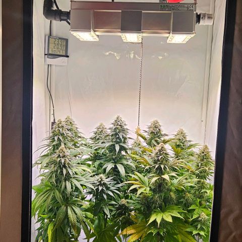 #6 growlog timeline photo