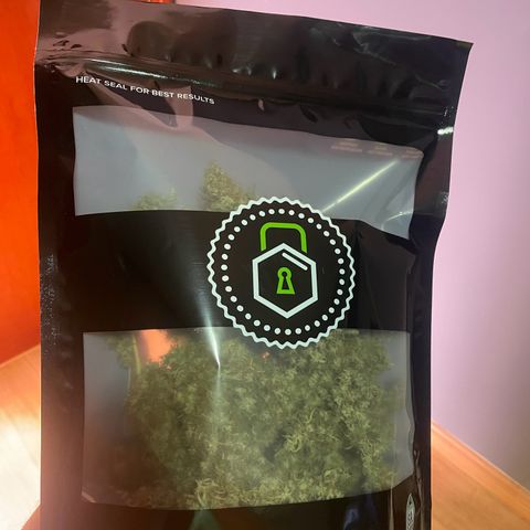 Ciclo #01 Prenseed #1 growlog timeline photo