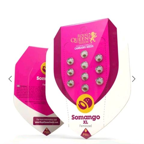 Somango XL SCROG growlog in Homebox Q120