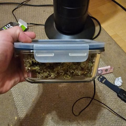 Apfel 2 growlog timeline photo