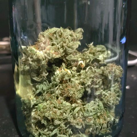 Wedding Cake 1st try growlog timeline photo
