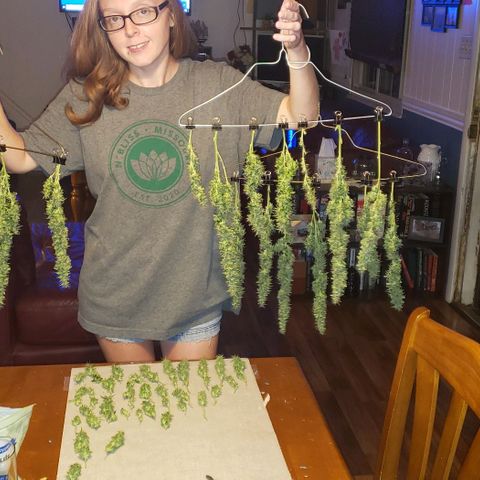 Northern Lights Auto growlog timeline photo