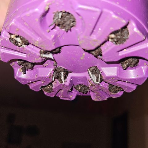 Pain Killer growlog timeline photo