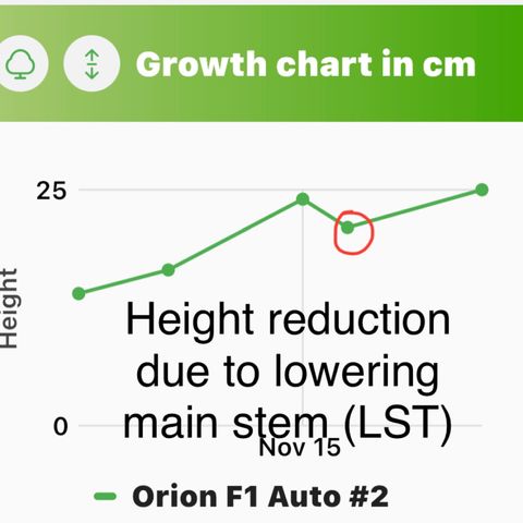 Orion F1 Auto #2 growlog timeline photo