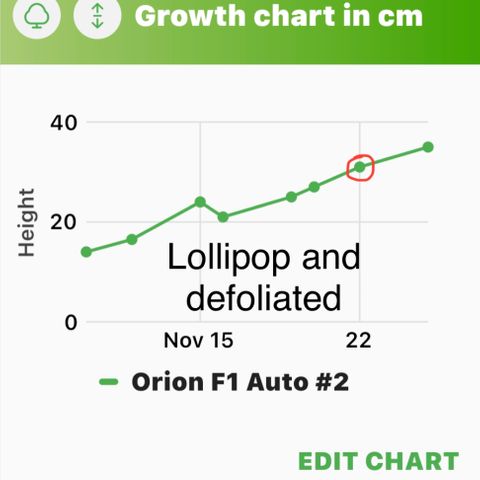 Orion F1 Auto #2 growlog timeline photo