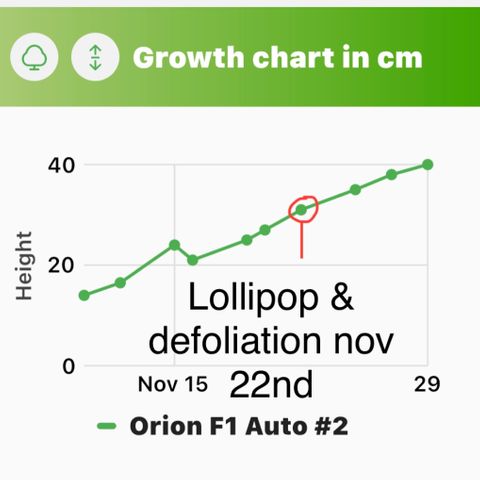 Orion F1 Auto #2 growlog timeline photo