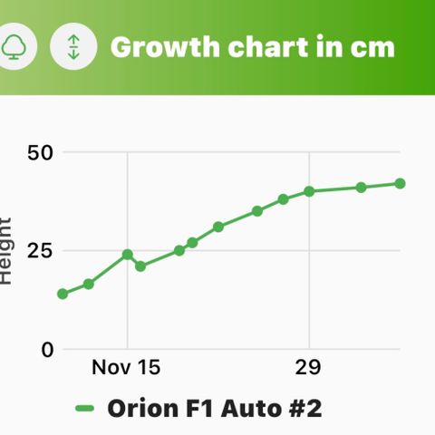 Orion F1 Auto #2 growlog timeline photo