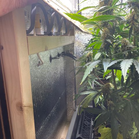 Orion F1 Auto #2 growlog timeline photo