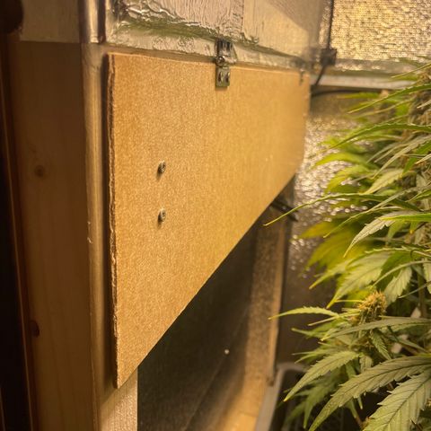 Orion F1 Auto #2 growlog timeline photo