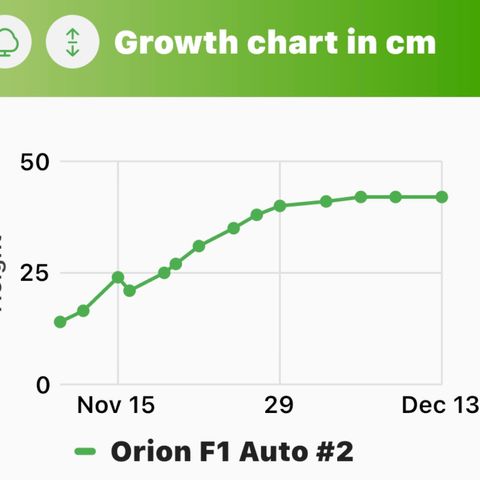 Orion F1 Auto #2 growlog timeline photo