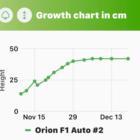 Orion F1 Auto #2 growlog timeline photo