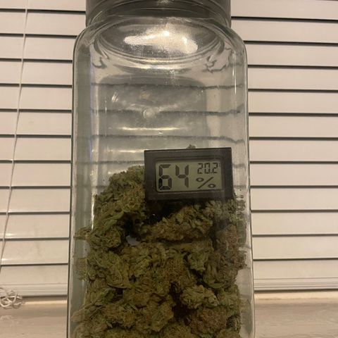 Orion F1 Auto #2 growlog timeline photo