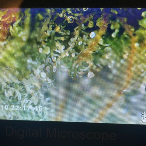 Orion F1 Auto #2 growlog timeline photo