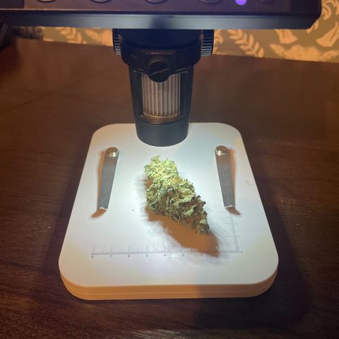 Orion F1 Auto #2 growlog timeline photo