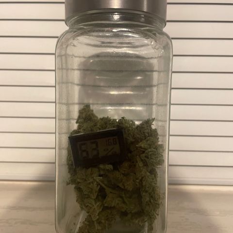 Orion F1 Auto #2 growlog timeline photo