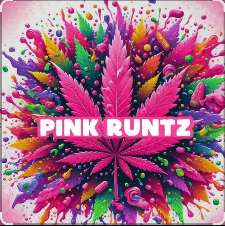 Pink Runtz growlog header