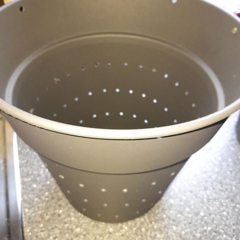 Fat Gorilla  growlog timeline photo