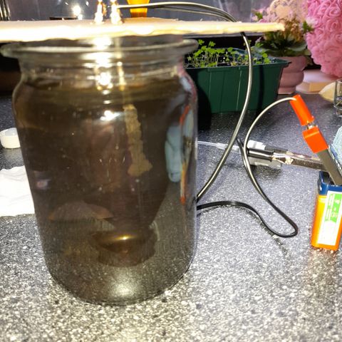 Royal Runtz  growlog timeline photo