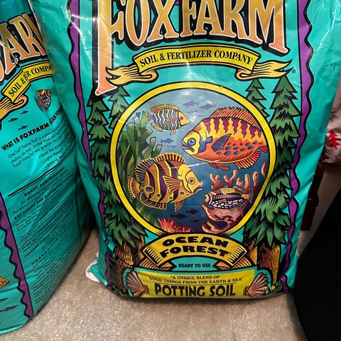 Gelato OG #1 growlog photo: Getting soil ready for transplant in a few days. First time using this soil. Usually go with a blend of coco coir, vermiculite and peat but this is much easier and gets good reviews. I also use fox farm nutrients so thought this would be the best blend. I would like to have waited longer for transplant but they are rapidly outgrowing the container they are in and I’m having trouble regulating humidity in the germination container anyway. 