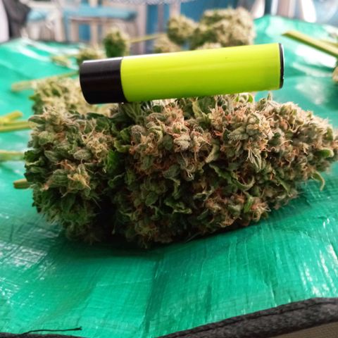 Big Green Crack #2 growlog timeline photo