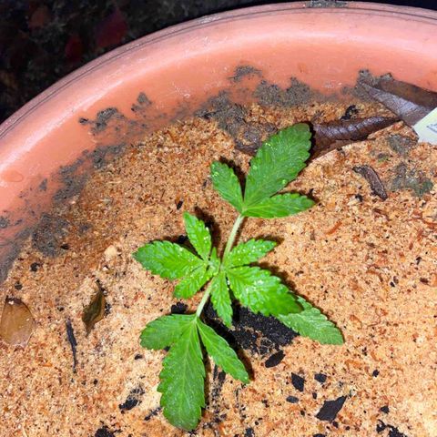 Katherine Ann growlog timeline photo