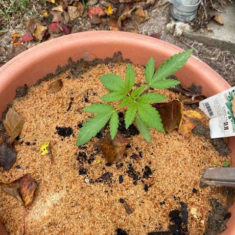Katherine Ann growlog timeline photo